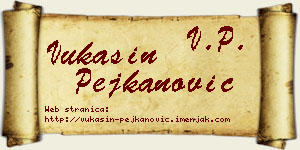 Vukašin Pejkanović vizit kartica